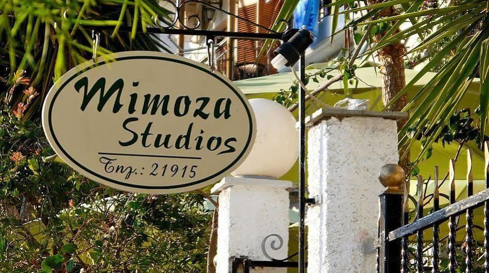Mimoza Studios Скіатос Екстер'єр фото